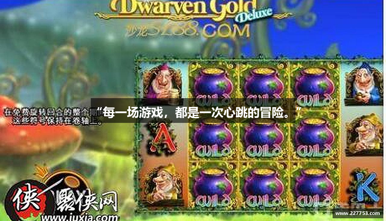 “每一场游戏，都是一次心跳的冒险。”